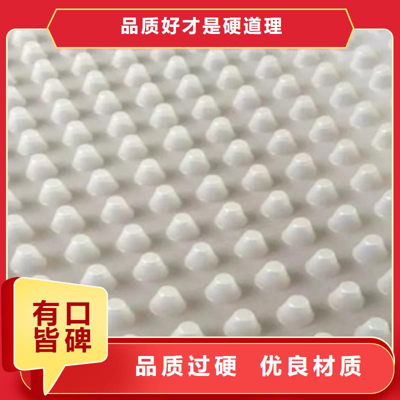 【排水板】土工膜厂家价格公道合理