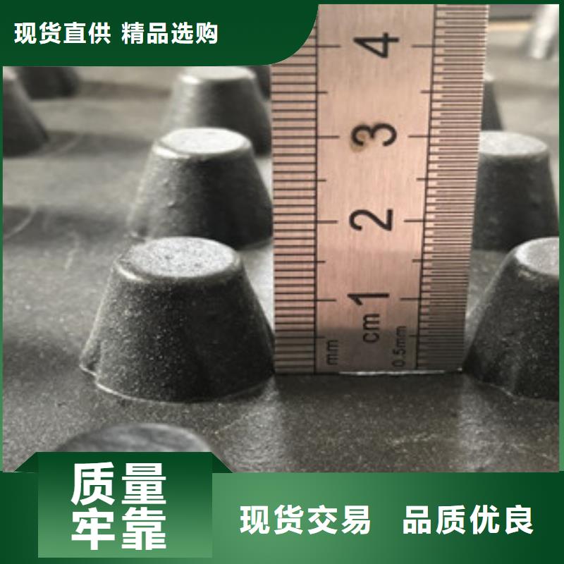 【排水板】_土工膜厂家按需设计