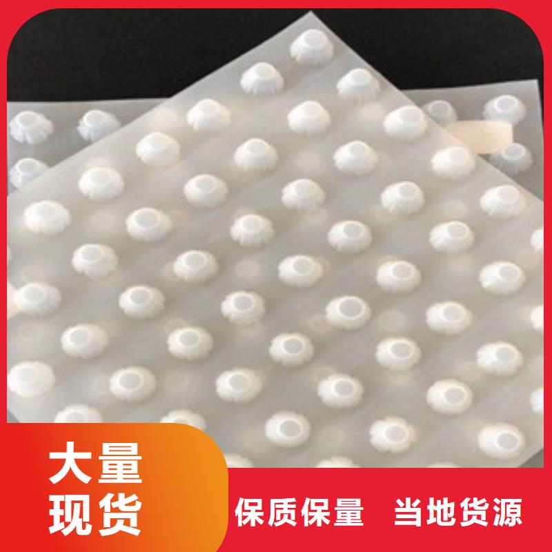 排水板-土工布厂家品质可靠