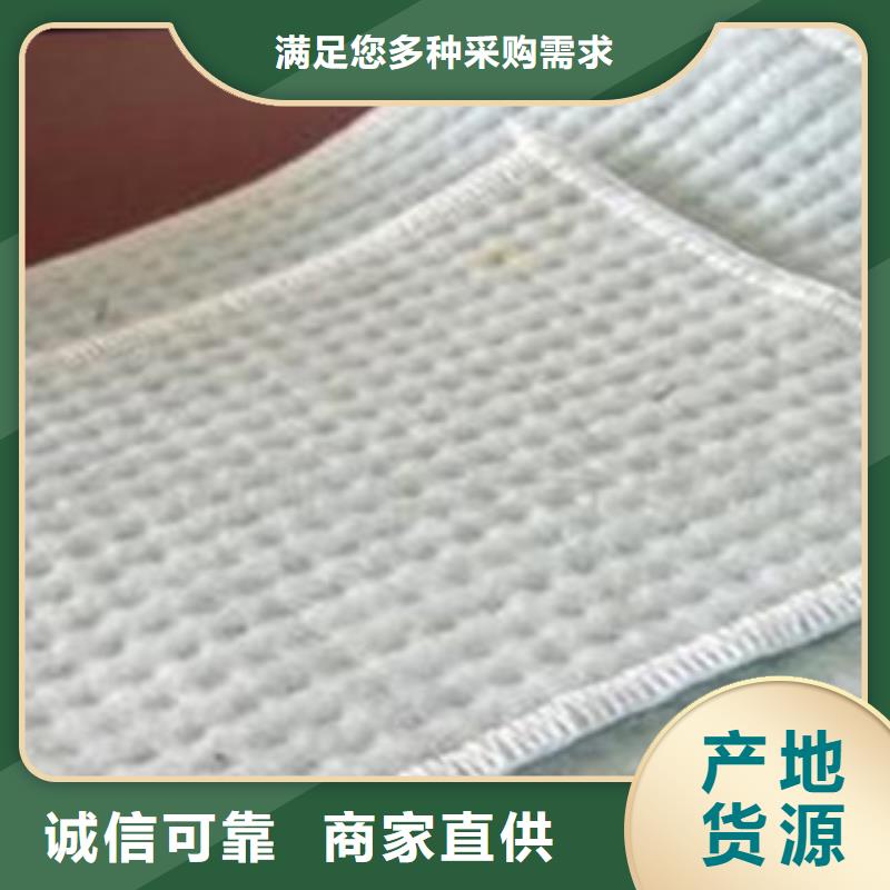 防水毯-蓄排水板厂家厂家货源稳定