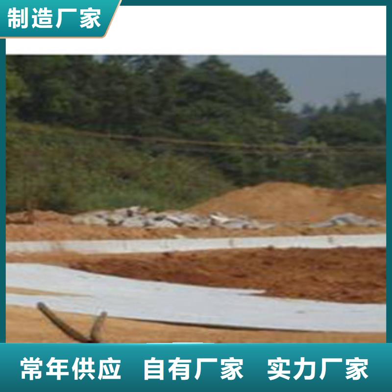 防水毯土工布厂家专业生产N年