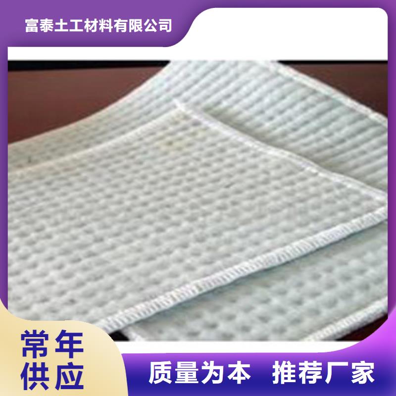 防水毯土工布厂家专业生产N年