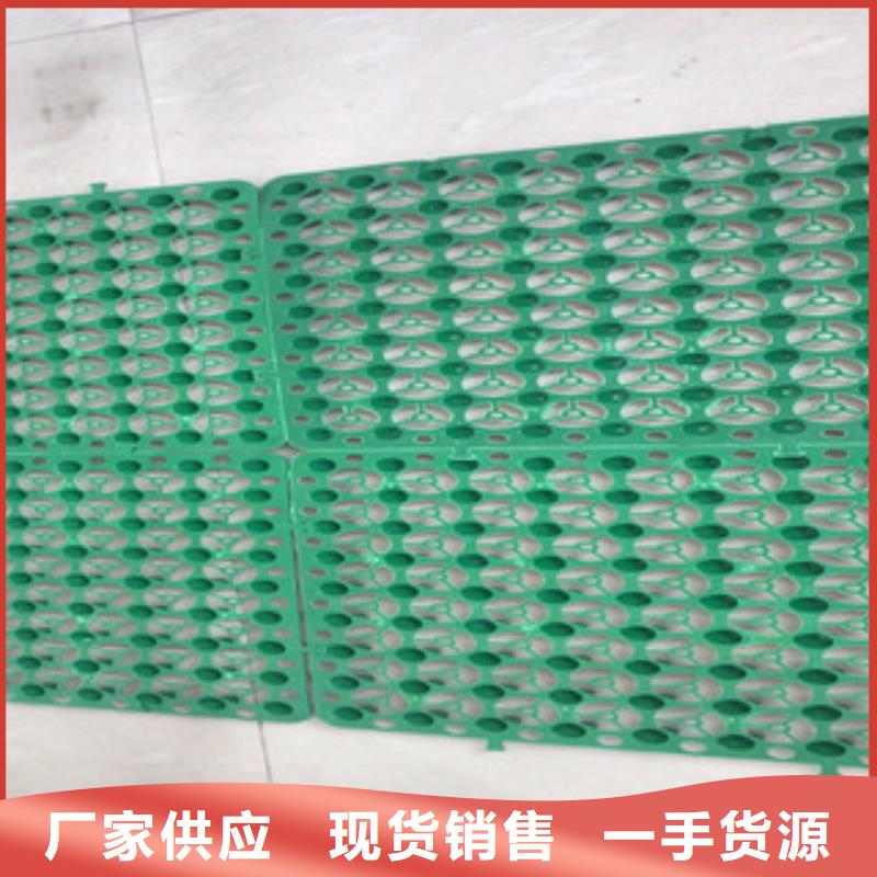 蓄排水板土工布厂家服务至上