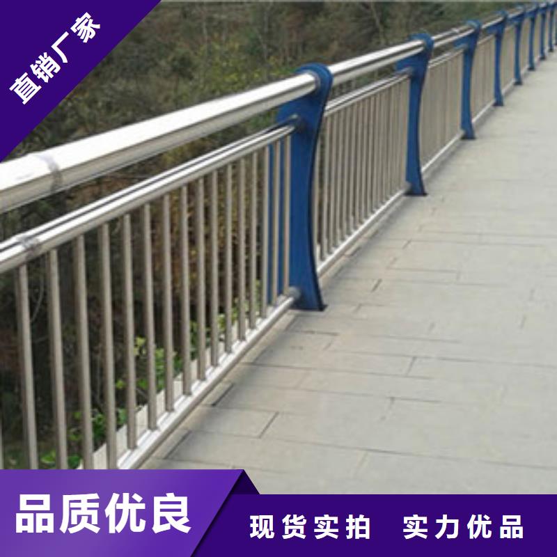 48小时发货<飞龙>城市天桥河道护栏桥梁护栏专业的生产厂家