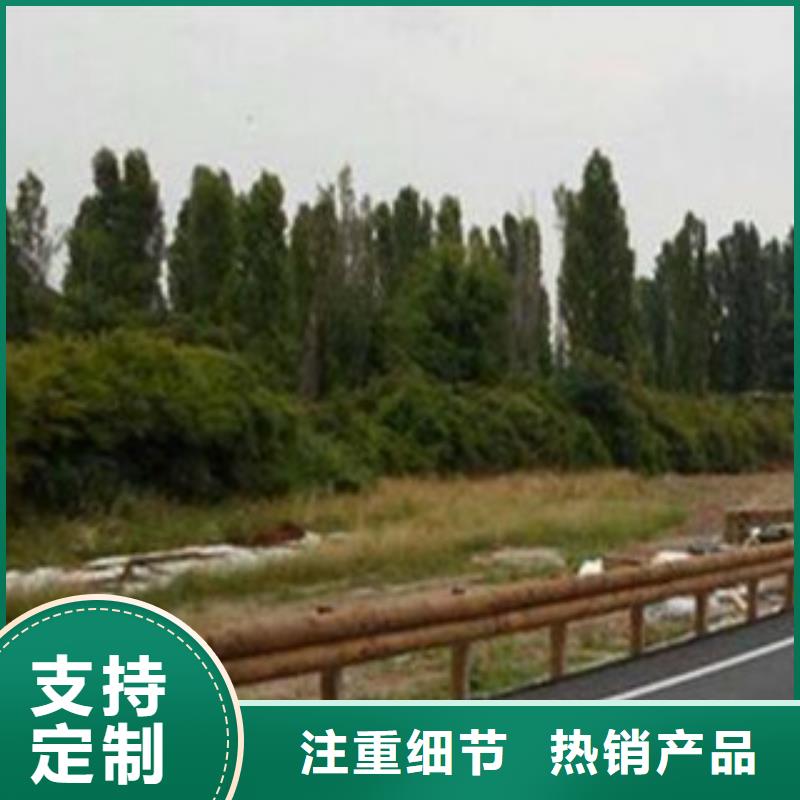 钢背木护栏桥梁灯光护栏厂家工艺先进
