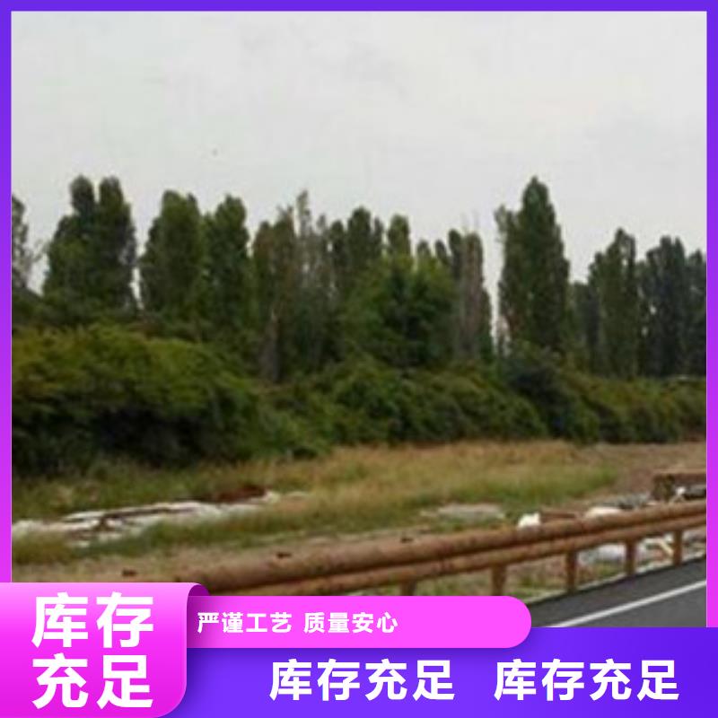 钢背木护栏灯光护栏匠心制造