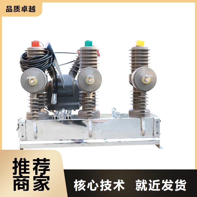 临沧ZW8-12F/T630-12.5真空断路器全新配件