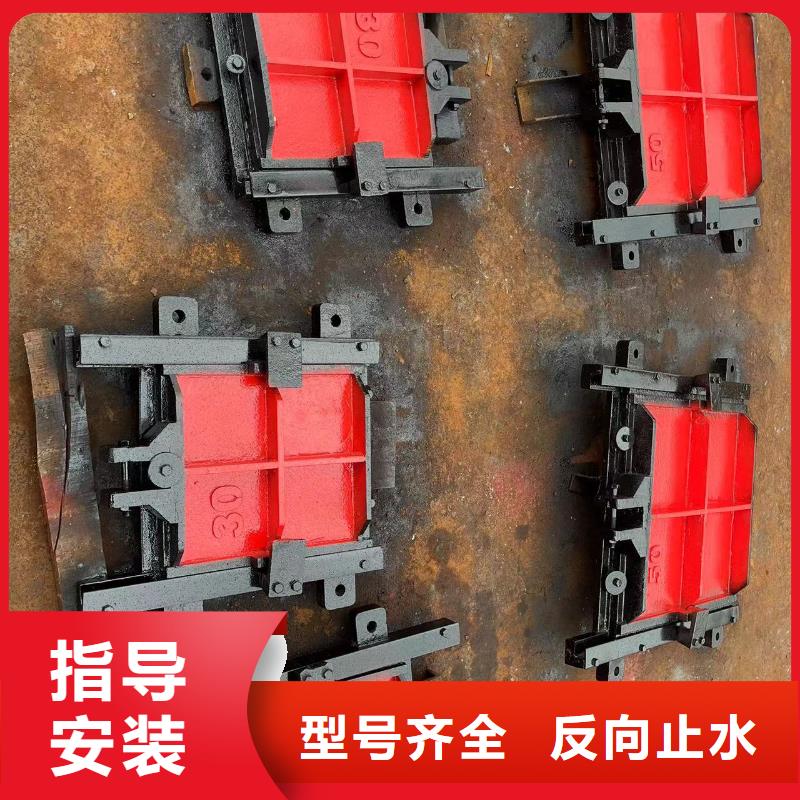 雅安水电站一体铸铁闸门诚信经营