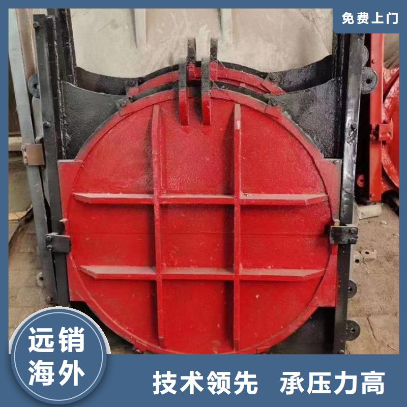 延边给水排水镶铜铸铁闸门实力大厂