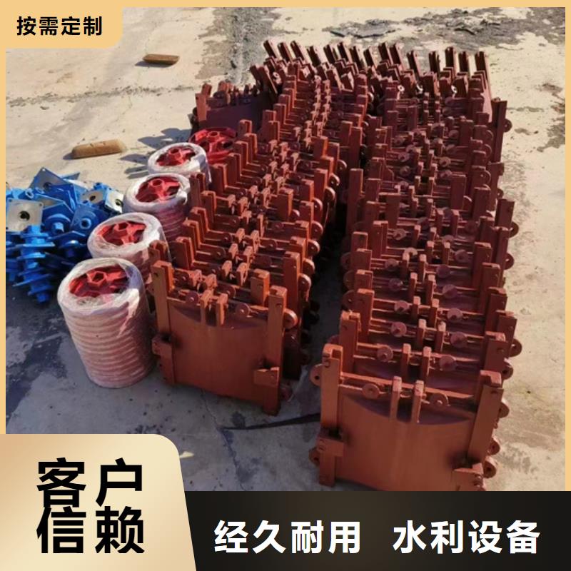 雅安水电站一体铸铁闸门诚信经营