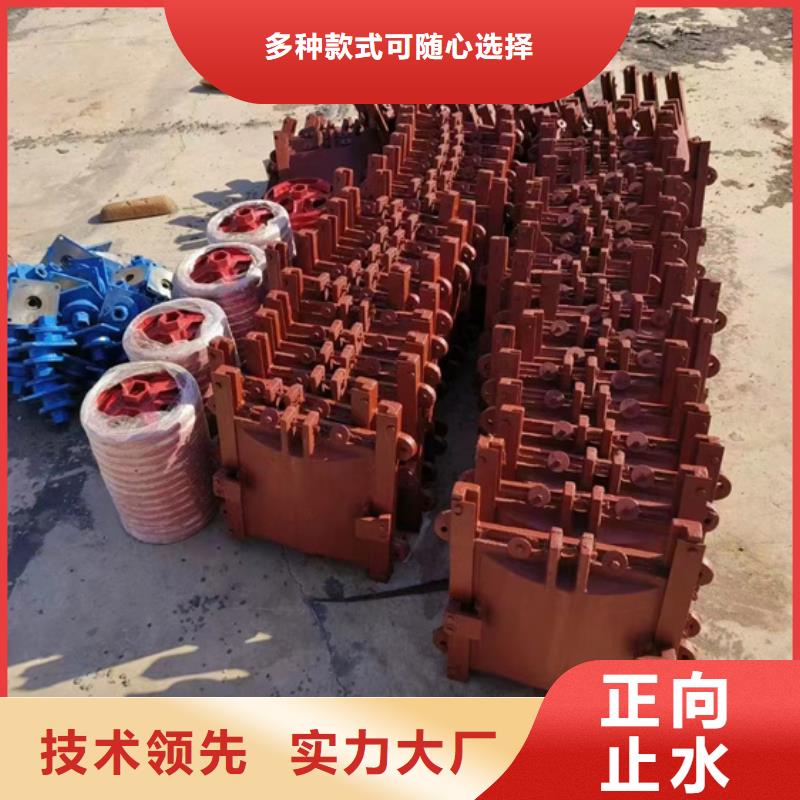 通辽铸铁闸门_管道闸门性能可靠