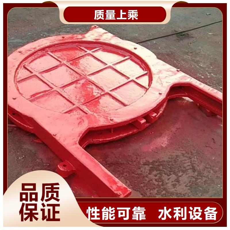 雅安水电站一体铸铁闸门诚信经营