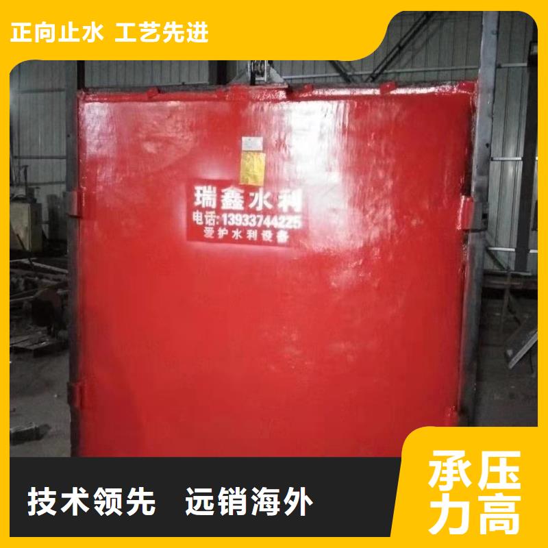 雅安水电站一体铸铁闸门诚信经营