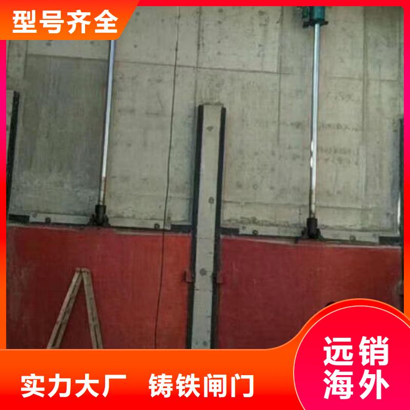 雅安水电站一体铸铁闸门诚信经营