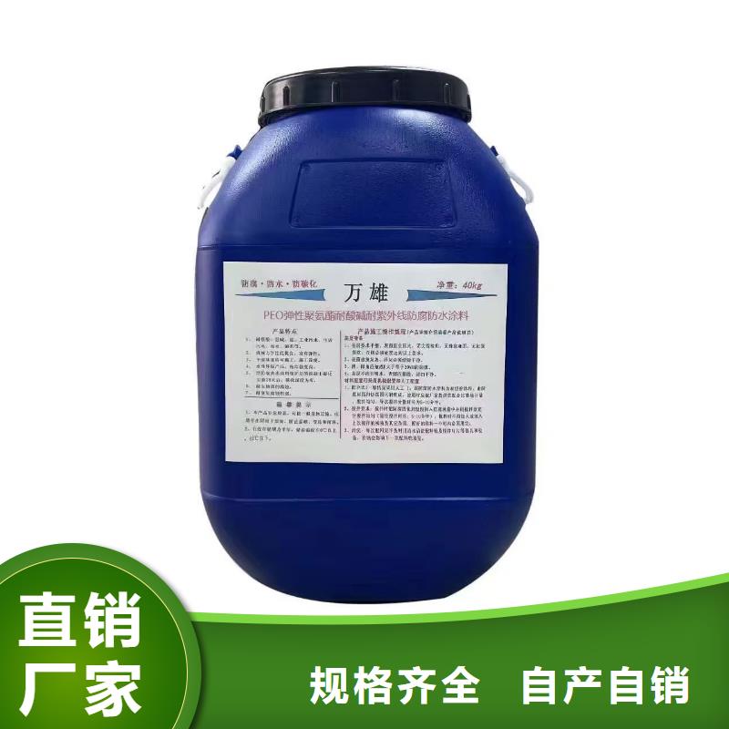QL101-Ⅱ型防腐涂料好厂家有担当免费询价改性乙烯基酯防水防腐涂料