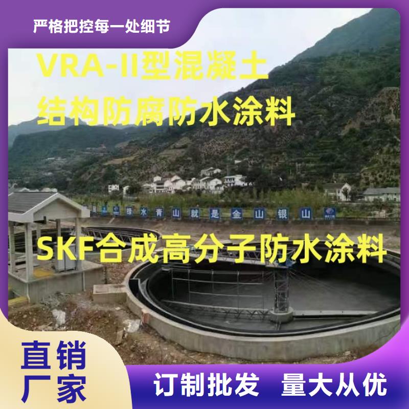 GBS桥面防水涂料支持实力工厂RLFA水性聚乙烯防腐涂料（污水厂）