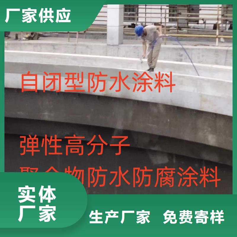 EMA-II型防腐防水涂料当地货源批发高弹性环氧改性防腐涂料