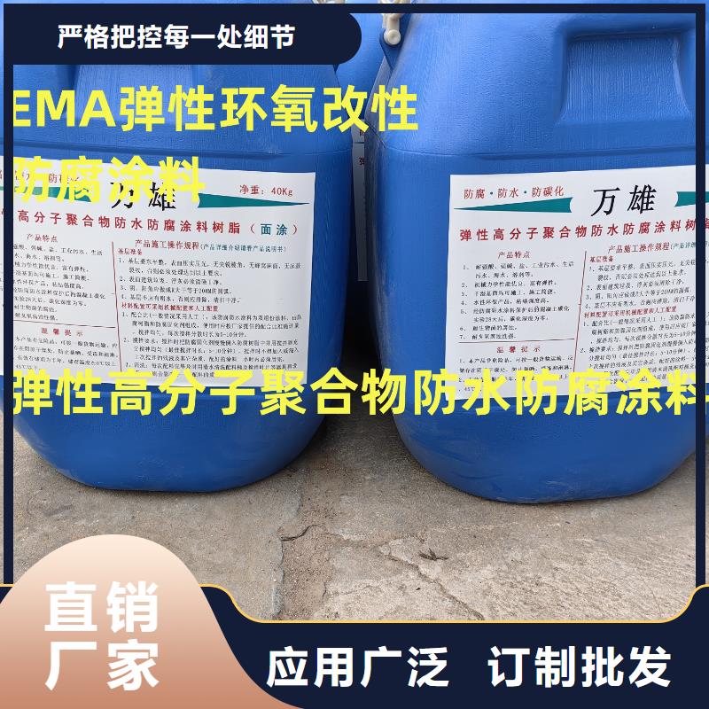 反应型弹性防腐有机防水涂料大厂生产品质规格齐全ES污水池专用防腐涂料