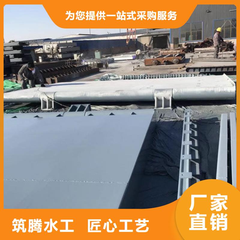 钢坝翻板闸门产地直供