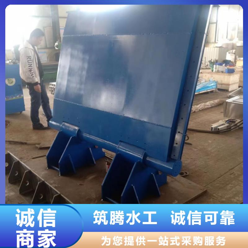 翻板闸门售后无忧