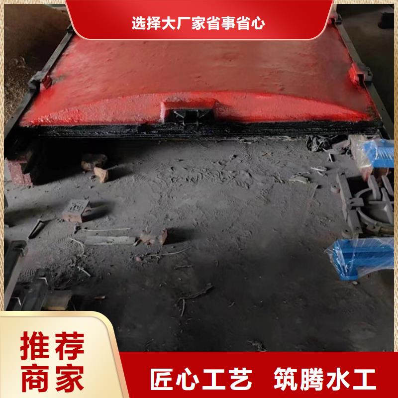 ZMF铸铁镶铜闸门用心经营