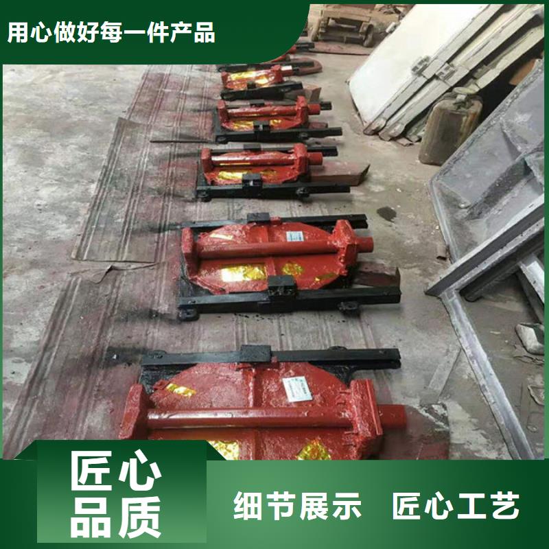 机闸一体式闸门厂家直营