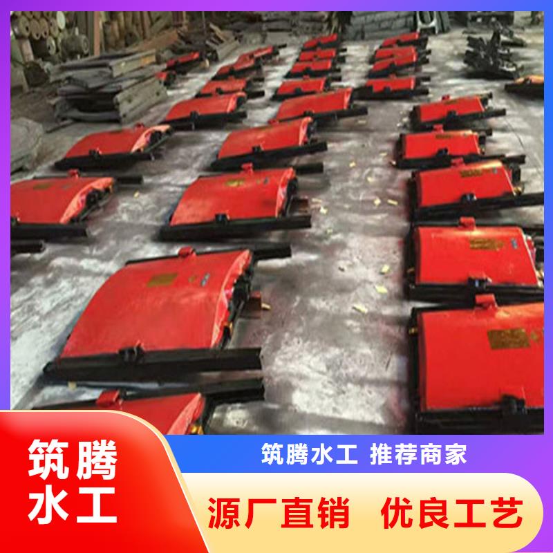 铸铁镶铜闸门工厂直供