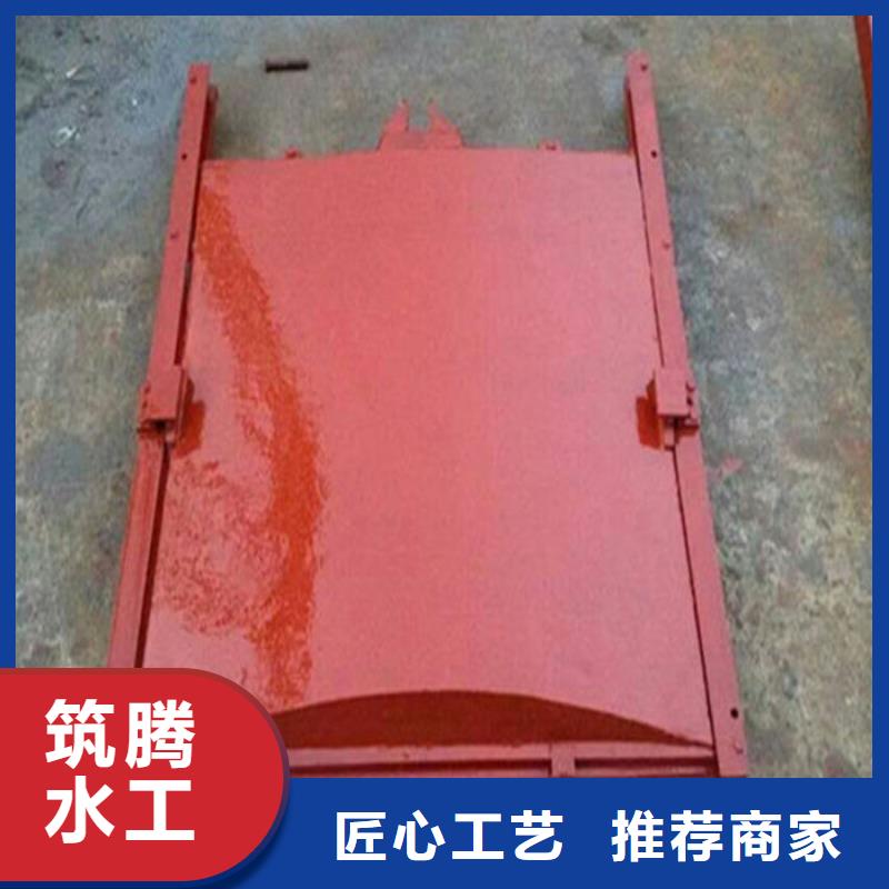 附壁式铸铁闸门诚信为本