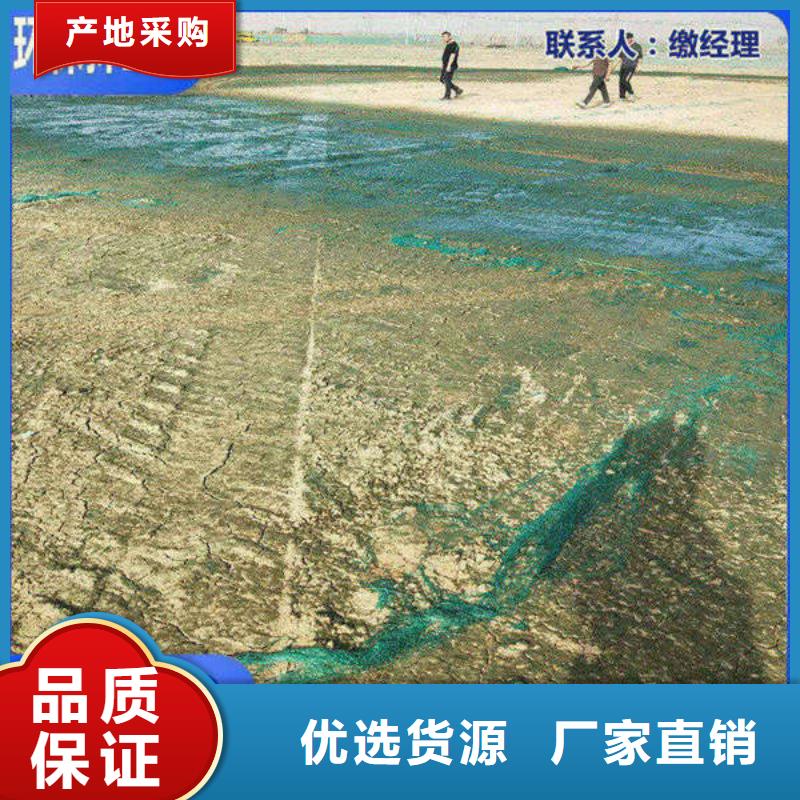 道路生物型降尘剂实力生产厂家